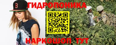 бошки Тара