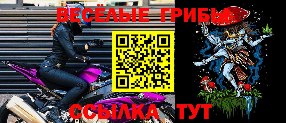 Мичуринск  Галлюциногенные грибы мухоморы  Вход с VPN  Галлюциногенные грибы Psilocybine cubensis 